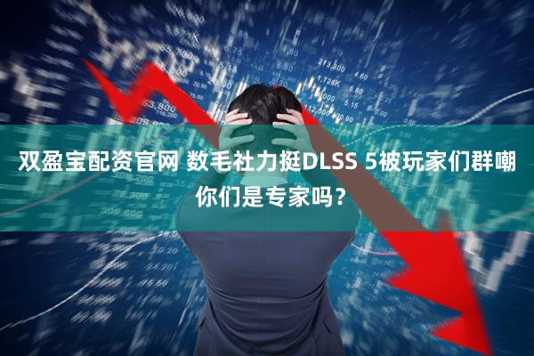 双盈宝配资官网 数毛社力挺DLSS 5被玩家们群嘲 你们是专家吗？