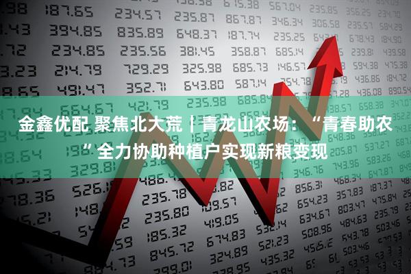 金鑫优配 聚焦北大荒｜青龙山农场：“青春助农”全力协助种植户实现新粮变现