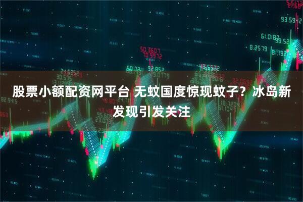 股票小额配资网平台 无蚊国度惊现蚊子？冰岛新发现引发关注