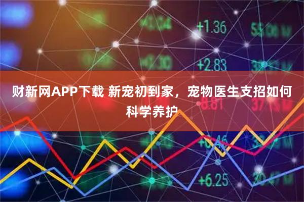 财新网APP下载 新宠初到家，宠物医生支招如何科学养护