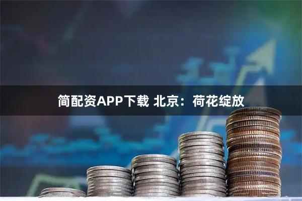 简配资APP下载 北京：荷花绽放